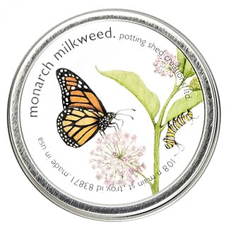 Seeds l Monarch Milkweed