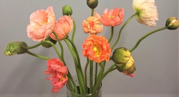Bouquet Floral Subscription