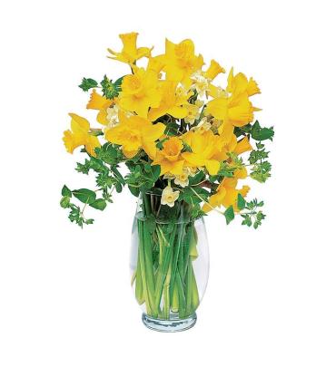 Vase Of Yellow Daffodils