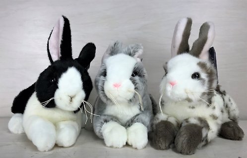Bunny - Plush