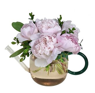 Pitcher Perfect Peonies