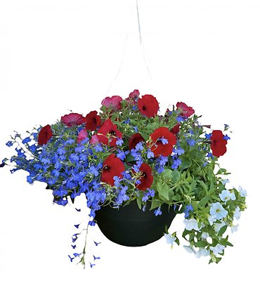 13\" Hanging Flower Basket - Red, White, & Blue