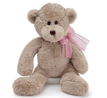 Teddy Bear With Pink Bow
