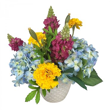 Constant Country Gardens