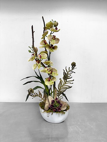 Silk Orchid Garden