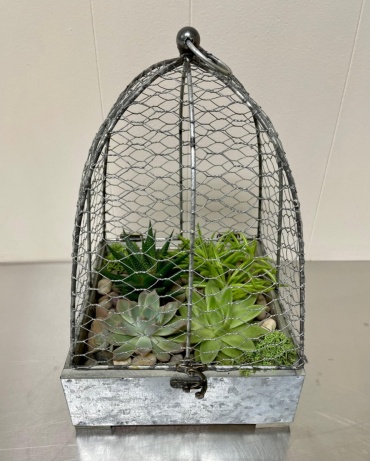 Farmhouse Succulent Cloche