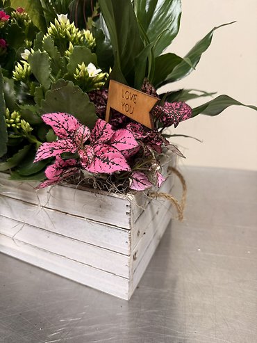 \"Love You\" Garden Box