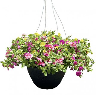 13\" Hanging Flower Basket | Pinks & Yellows