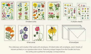 Stationery Set - Wildflowers