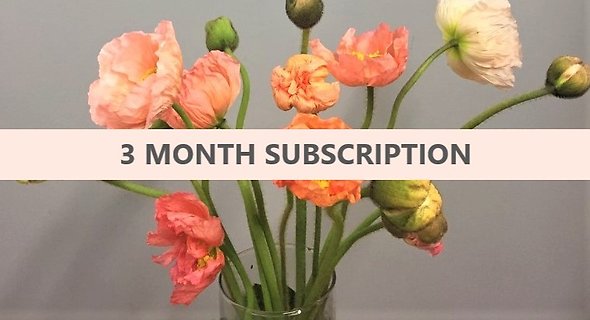 3-Month Floral Subscription
