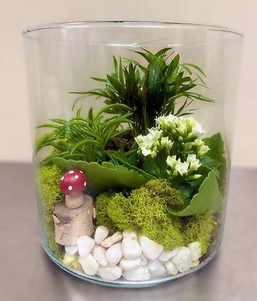 Mini Mushroom Terrarium