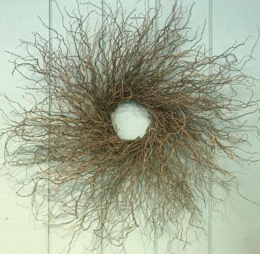 Curly Willow Wreath