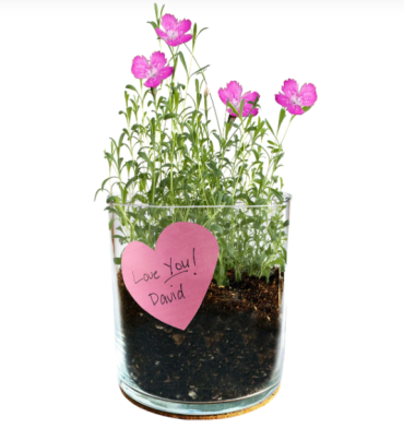 Flower Garden Grow Kit