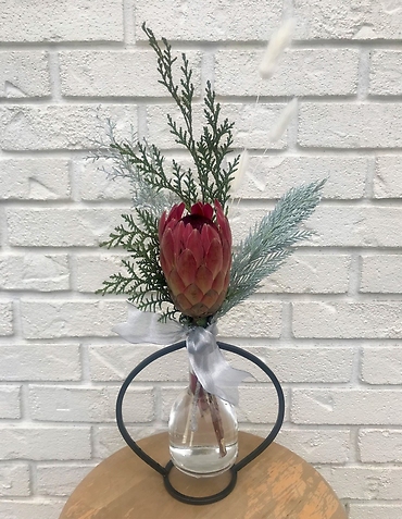 Winter Protea