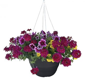 13\" Outdoor Hanging Flower Basket - Pink, Purple, Yellow