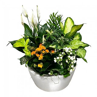 European Garden in Ceramic- Large