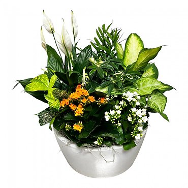 European Garden in Ceramic- Large