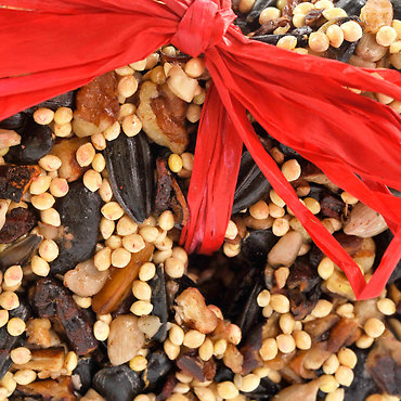 Little Birdseed Heart