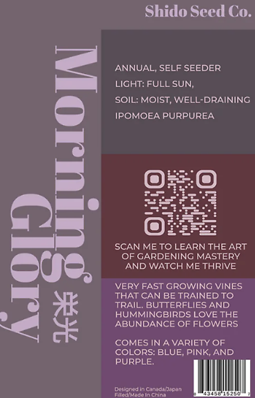 Seeds | Morning Glory