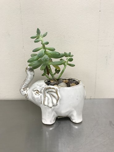 Elephant Planter