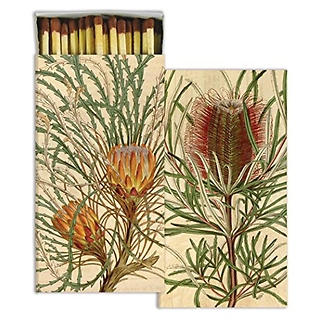 Matches ~ Protea