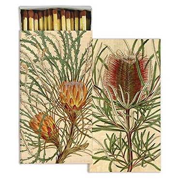 Matches | Protea