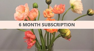 6-Month Floral Subscription
