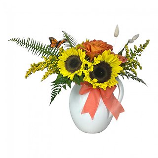 Sunshine in a Pitcher