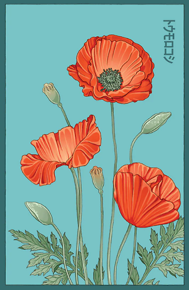 Seeds | Corn Poppy