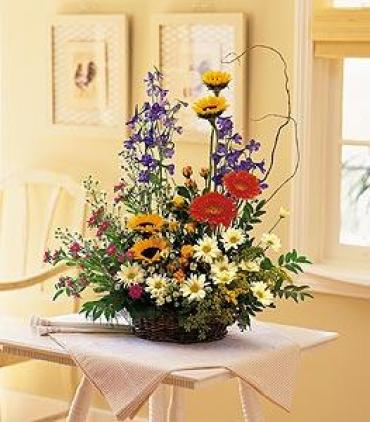 Garden Blooming
