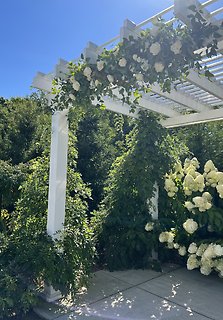 White Garden Trellis Flowers