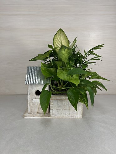 Bird House Planter