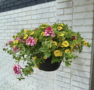 13\" Outdoor Hanging Flower Basket | Pinks & Yellows