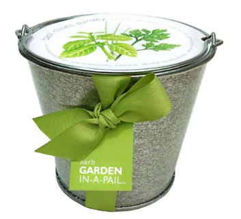 Culinary Herb Garden Grow Kit