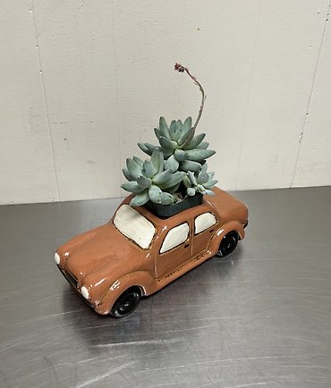 Succulent Automobilia