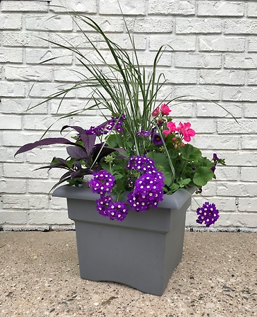 Flowering Patio Pot