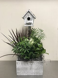 Bird House Planter Dish Garden - Large