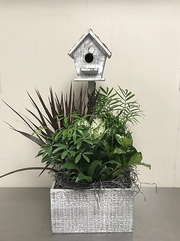 Bird House Planter Dish Garden - Large
