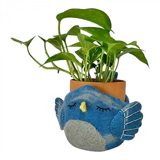 Birdie Pot