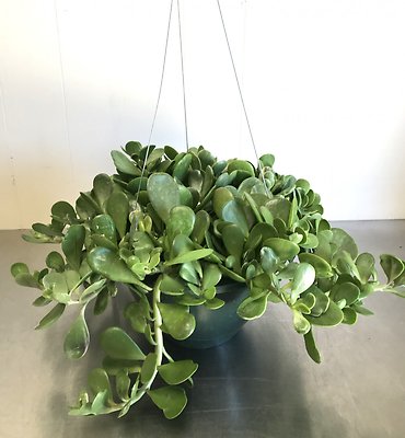 Jade Basket