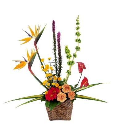 Serene Tropical Basket