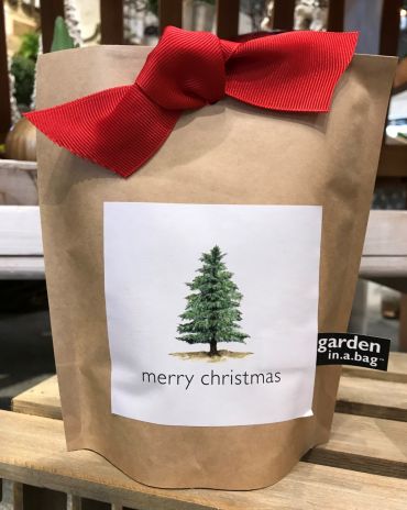 Christmas Tree: Garden in a Bag