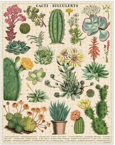 Vintage Puzzle | Cacti And Succulents