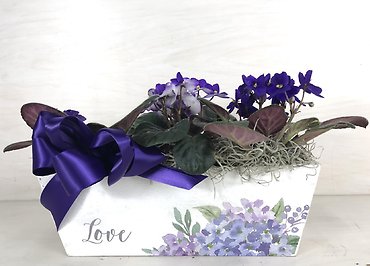 Violet \"Love\" Box