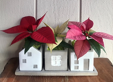 Home For The Holidays