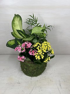 European Blooming Garden