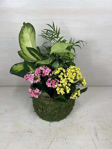 European Blooming Garden