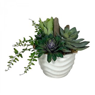 Forever Succulent Garden