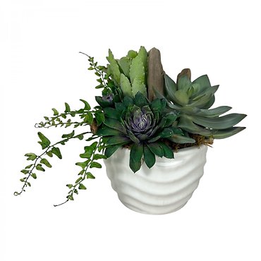 Forever Succulent Garden