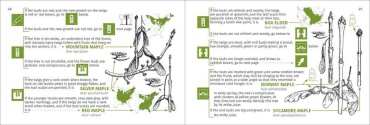 Winter Tree Finder